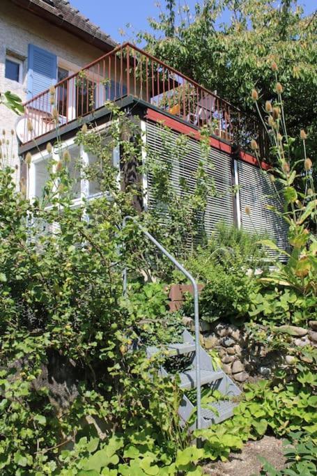 Erholung Mit Seesicht, Terrasse Und Garten اوبرلنغن المظهر الخارجي الصورة