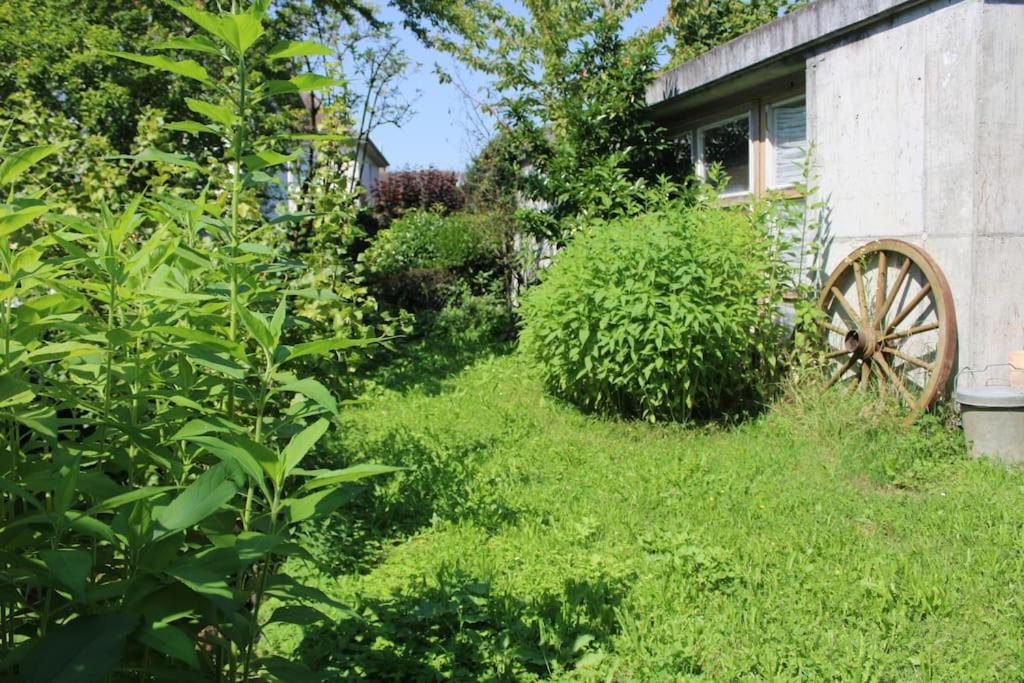 Erholung Mit Seesicht, Terrasse Und Garten اوبرلنغن المظهر الخارجي الصورة